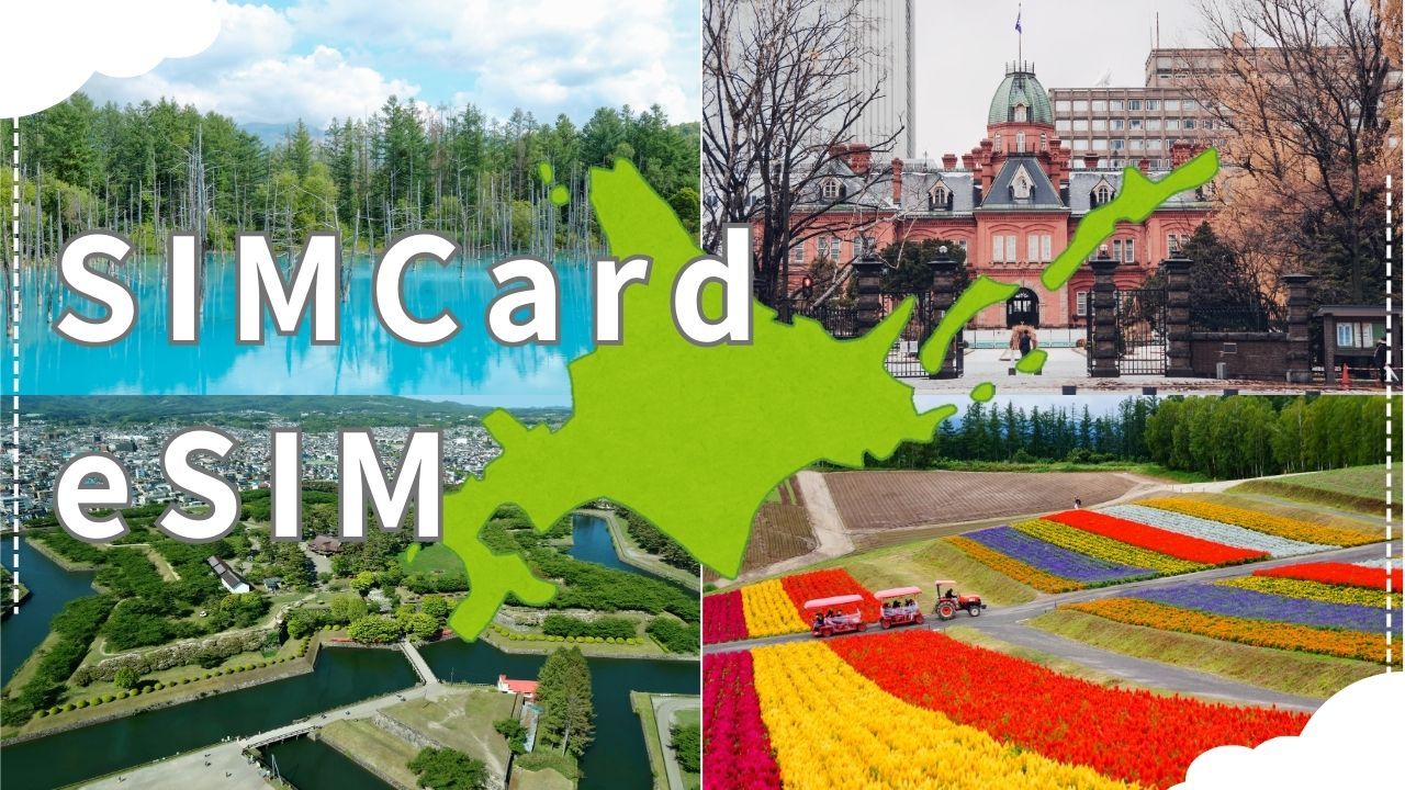 Stay Connected in Hokkaido: SIM Cards and eSIMs at New Chitose Airport